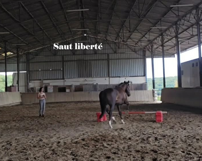 Saut en liberté